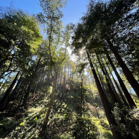 Meet your Posher, Periโก๏ธ๐๐ฉท๐ท๏ธ๐๐ธ๐ฌ๐ชฉ - Picture 7 of 10